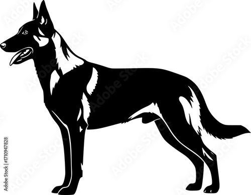 Belgian malinois silhouette