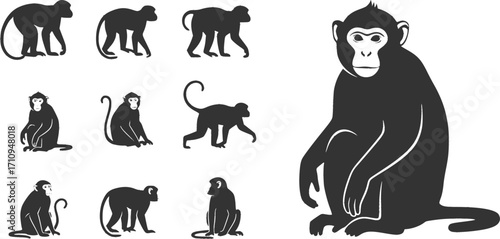 Monkey silhouettes