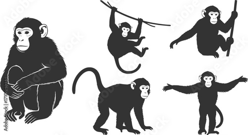Monkey silhouettes