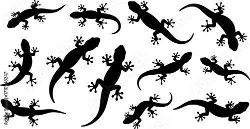 Gecko lizard silhouette
