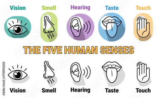  The Five Human Senses Icons, Vision, Smell, Hear, Taste and Touch. 5 Senses of Human Eye, Nose, Ear, Mouth, Lips, Hand Vector illustration eps 10 