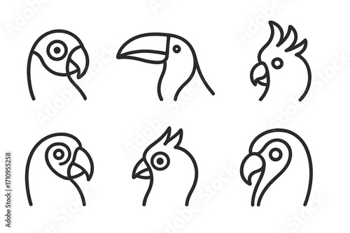 Tropical Bird Icons. Line style icons of tropical bird heads: parrot with bold cheek, toucan with high beak, cockatoo with lifted