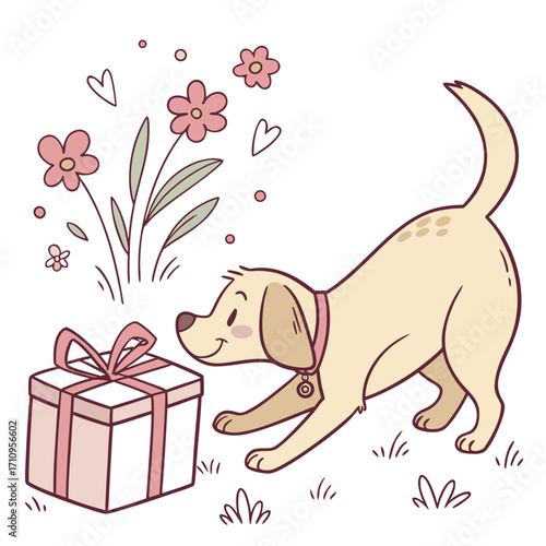 Adorable yellow labrador dog reaching for a pink gift box with flowers and hearts Keywords: dog, labrador