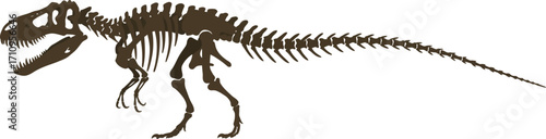 Detailed dinosaur skeleton illustration side view perfect for projects on transparent background