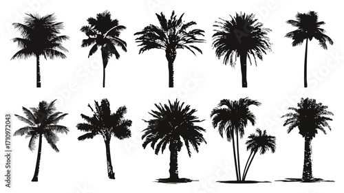 Black Palm Tree Silhouettes Collection for Tropical Designs