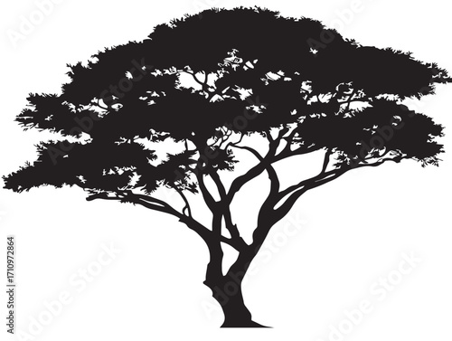 Beautiful African acacia tree flat canopy silhouette vector