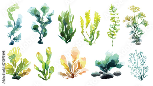 Vibrant Watercolor Seaweed Set for Underwater Designs