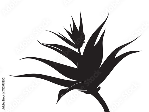 Decorative aloe vera floral silhouette elegant vector stock design