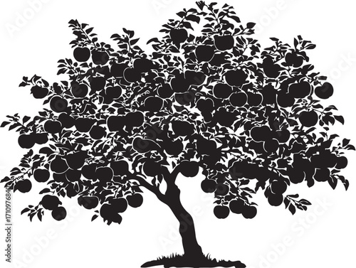 Elegant apple tree silhouette with fruit isolated vector design