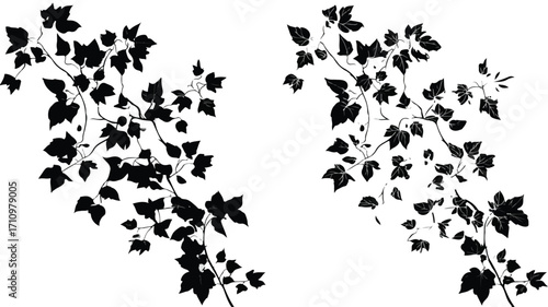 Elegant Black and White Ivy Stencil Set for Artistic Designs