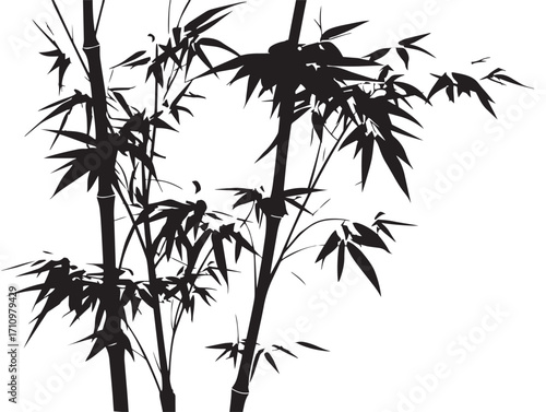 Elegant bamboo stalk silhouette with clean tall vertical balance