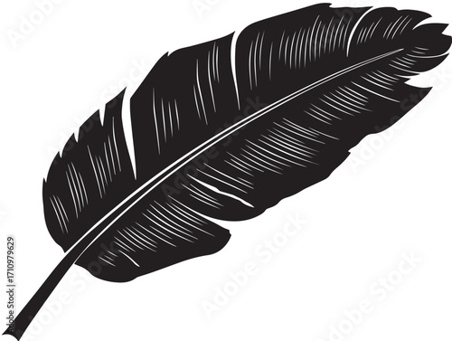 Large banana leaf silhouette vector with natural decorative detail