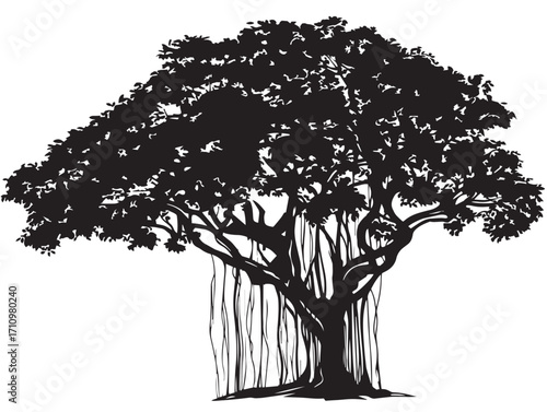 Graceful banyan tree with aerial roots silhouette design