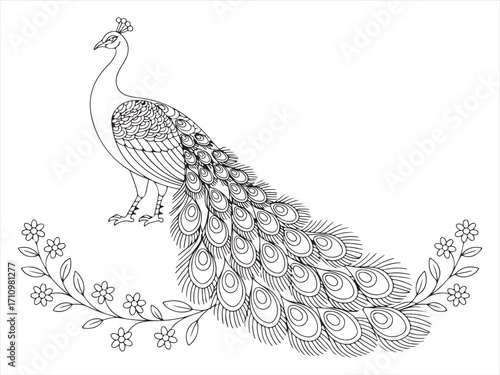 Editable line style peacock illustration with detailed feathers and ornamental tail design, elegant bird sketch for wildlife, nature, exotic art, decorative patterns, traditional artwork, and coloring