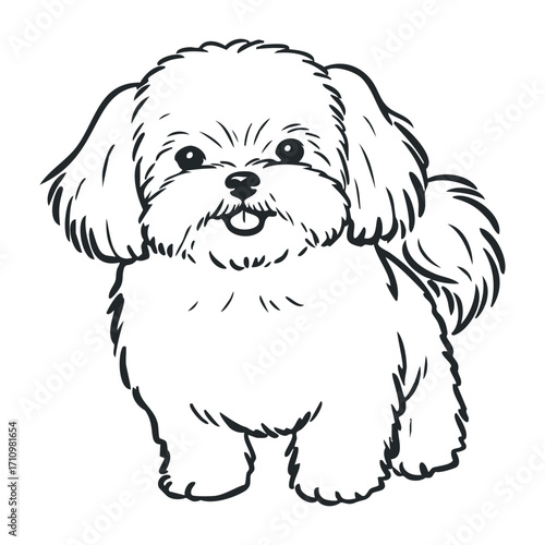 Playful puppy illustration home environment graphic art whimsical style front view pet concept. Vector illustration
