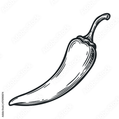 Spicy cooking with fresh chili peppers kitchen food illustration bright culinary inspiration. Vector illustration