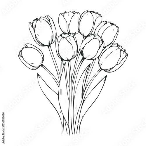 Delicate tulip bouquet floral art still life minimalist style botanical concept. Vector illustration
