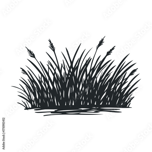 Lush green grass growth natural habitat plant life outdoor environment perspective nature's serenity. Vector illustration