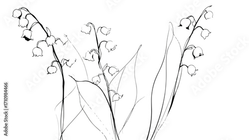 Continuous Line Lily of the Valley Modern Botanic Artwork