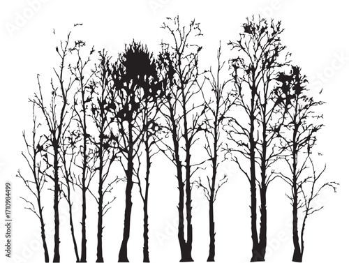 Natural birch tree silhouette artwork with simple decorative beauty