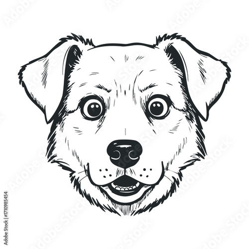 Playful dog portrait studio illustration bright background fun expression for pet lovers. Vector illustration