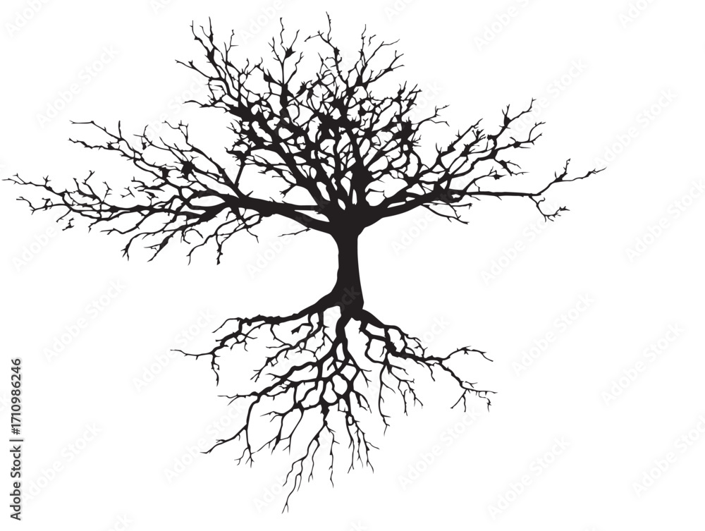 Fototapeta premium Organic branching taproot silhouette illustration with elegant balance
