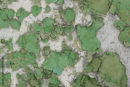Green peeling paint on the wall. Old concrete wall with cracked flaking paint. Weathered rough painted surface with patterns of cracks and peeling. High resolution texture for background and design.