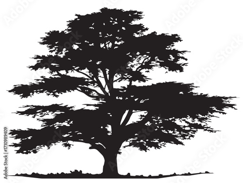 Bold cedar tree silhouette artwork with evergreen inspiration