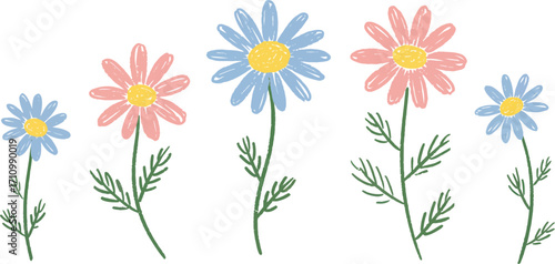 Colorful hand drawn daisy flower set with green stems on transparent background