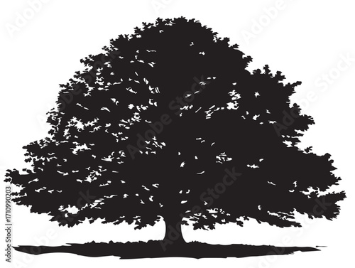 Graceful chestnut tree silhouette artwork with rustic charm