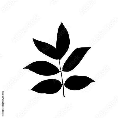 A clean, bold silhouette of a leaf branch against a pure white background.