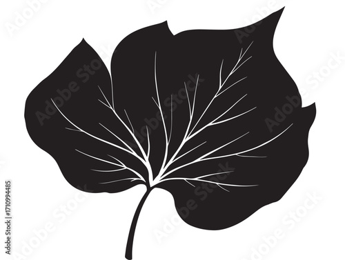 Botanical cotton leaf silhouette decorative illustration artwork