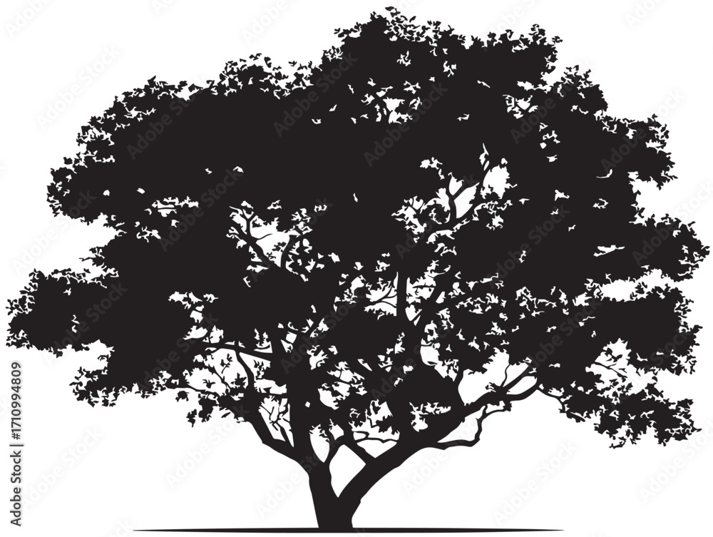 Fototapeta premium Majestic cottonwood tree silhouette vector illustration artwork