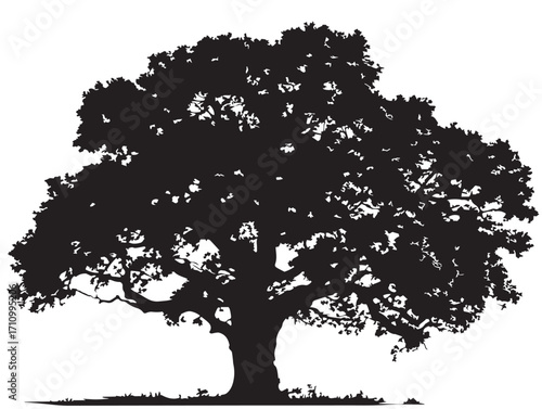 Decorative cottonwood tree silhouette with rustic appeal