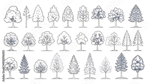 Various tree silhouettes (1)