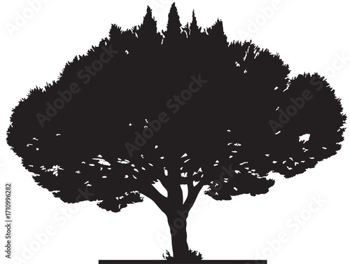Majestic cypress tree silhouette with elegant details