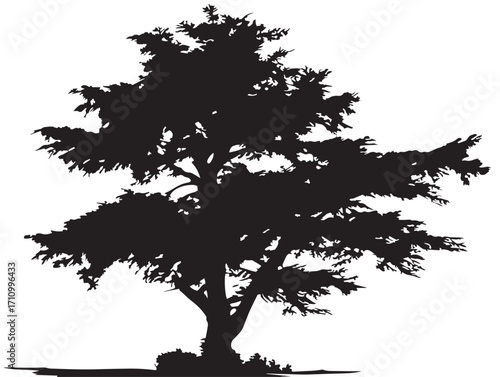Decorative cypress tree silhouette for artistic landscapes