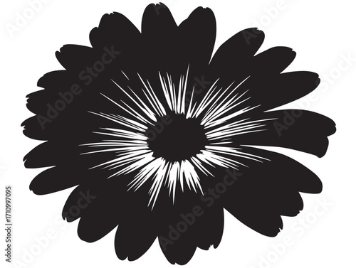 Decorative daisy flower silhouette with charming simplicity