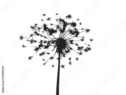 Dandelion silhouette illustration with delicate floral details