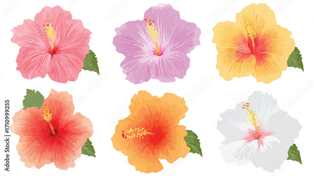 Obraz premium Vibrant Hibiscus Icon Isolated on White Background for Creative Designs