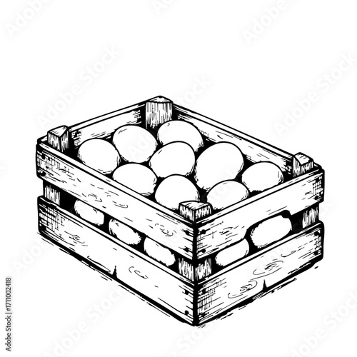 Vintage sketch of a wooden crate filled with fresh eggs  