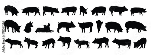 pig and piglet silhouette set. pig and piglet isolated farm animal silhouette icon vector collection