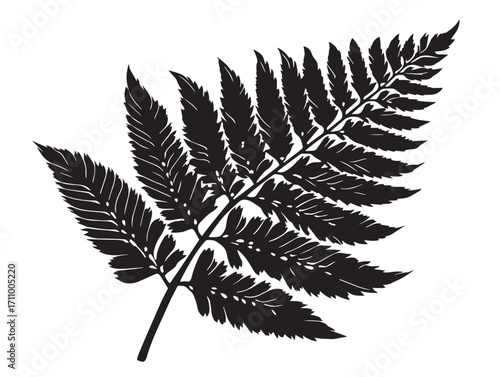 Tropical fern frond silhouette vector illustration in solid black