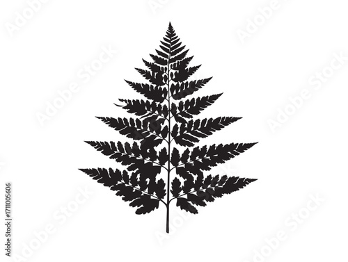 Exotic fern frond silhouette vector illustration elegant stock design