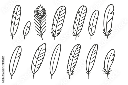 Bird Feather Icons. Line style icons of bird species feathers: eagle tail feather, peacock plume, macaw wing feather, sparrow