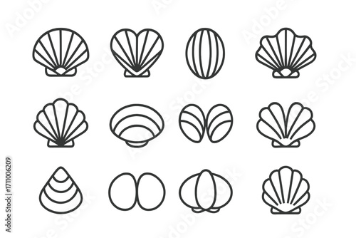 Symmetrical Shell Icons. Line style icons of symmetrical shells: symmetrical clam shell, heart-shaped shell, oval bivalve shell,