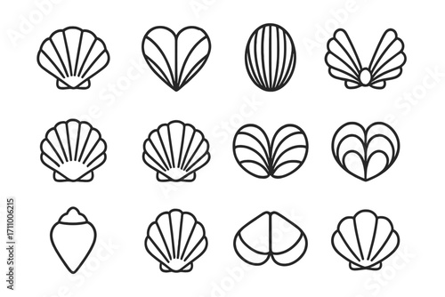 Symmetrical Shell Icons. Line style icons of symmetrical shells: symmetrical clam shell, heart-shaped shell, oval bivalve shell,