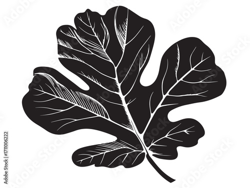 Beautiful fig leaf silhouette vector illustration in solid black