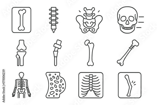 Medical Bone Illustrations. Line style icons of medical bones: x-ray of femur, spinal model, pelvis diagram, skull with label