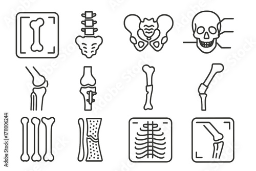 Medical Bone Illustrations. Line style icons of medical bones: x-ray of femur, spinal model, pelvis diagram, skull with label